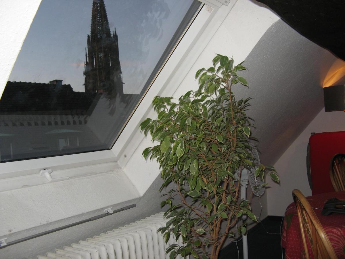 Gasthaus Loewen Freiburg Bagian luar foto